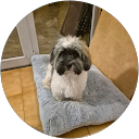 Iris Schubert profile picture